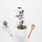 cupoftea Rozsdamentes Acél Teatojás fogó - 5 cm, Cup of Tea