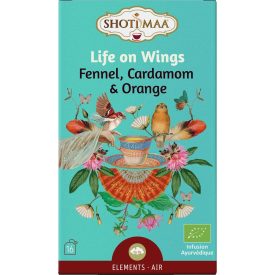 Shoti Maa Life on Wings