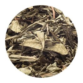 Koffeinmentes tea